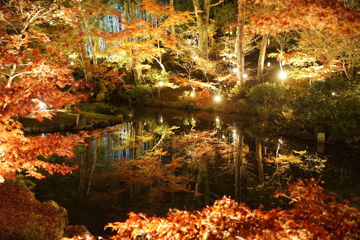 波動調整　神社・聖地での参拝や禊を実際に行います もし場所の指定がありましたら、ご希望承ります。 イメージ4