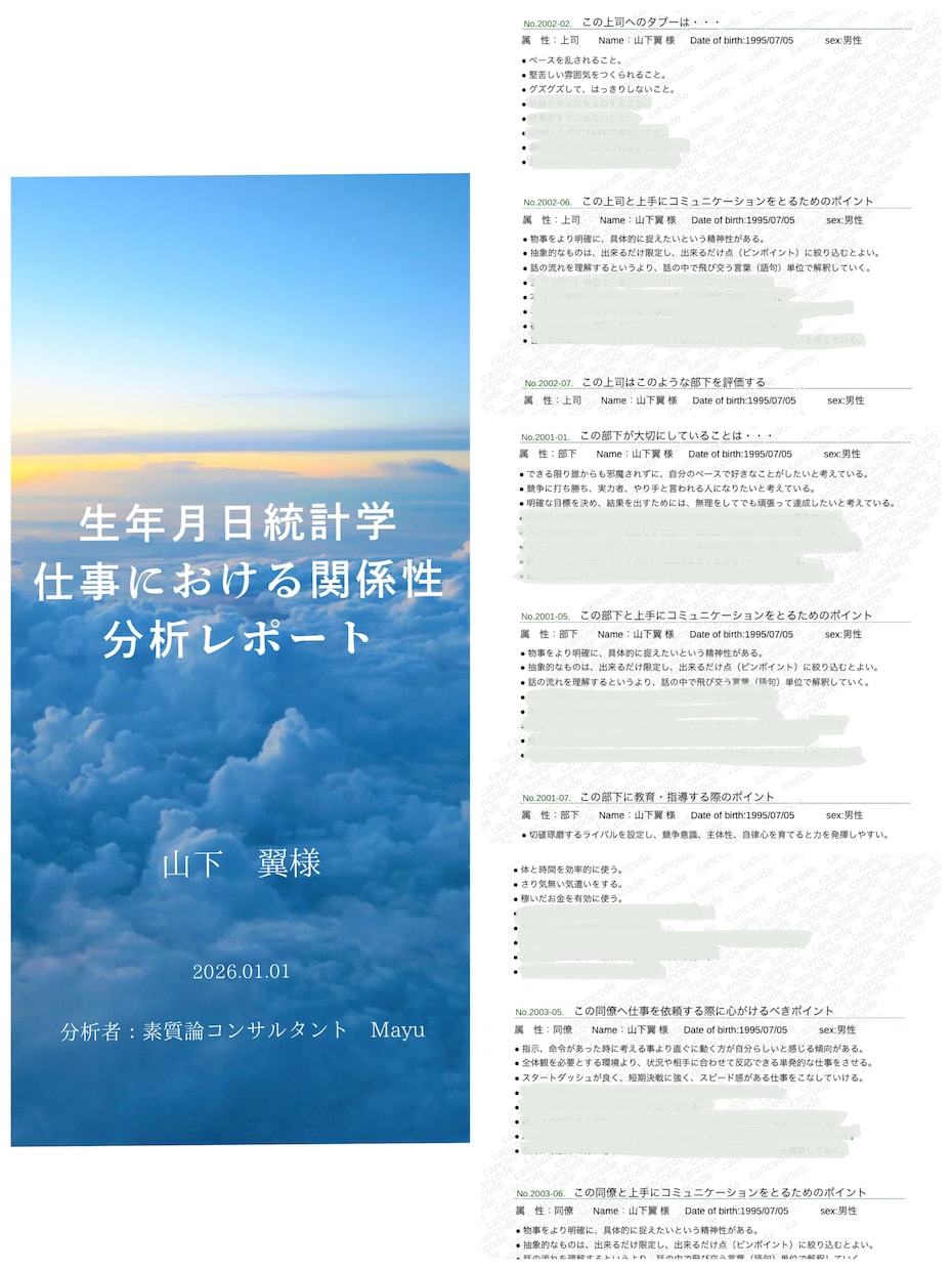 生年月日で強みと職場の人間関係傾向を分析します PDF鑑定｜職場の人間関係の悩みを性格分析で解決 イメージ4