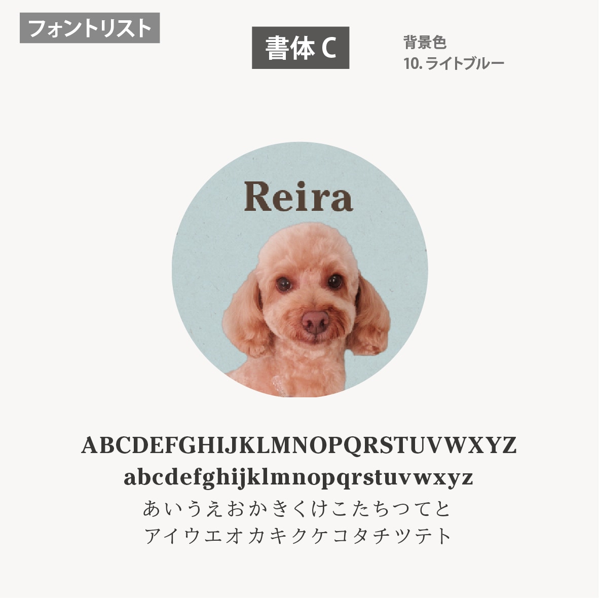 ペット写真SNSアイコンをセミオーダーで制作します 色とフォントが選べる!うちの子写真で現役デザイナーが制作 イメージ8