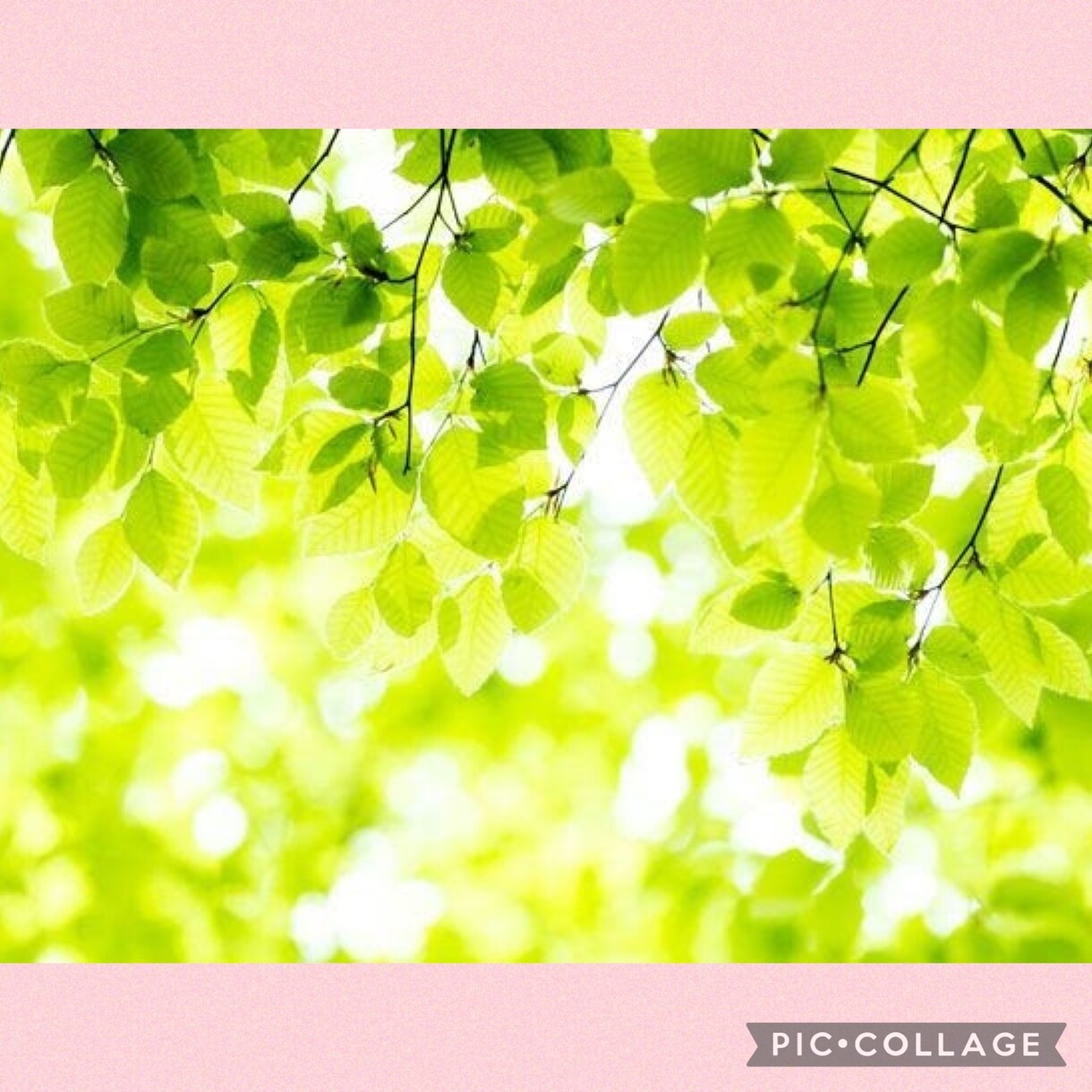 あなたの今すぐ話したい気持ちに寄り添い受けとめます 何気ない雑談から真剣なお悩みまで！気持ちを軽くするお手伝い♡ イメージ3