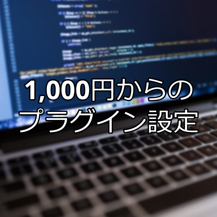 WordPressプラグインを検索・設定代行します 1000円からの設定代行、テーマにも対応しております イメージ1