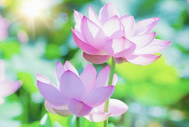 本気で復縁、恋愛成就させたい方のみ鑑定します Gabrielの愛の鑑定でお相手と引き合わせます。 イメージ4