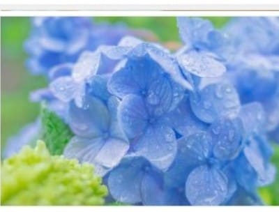 男性へ⭐微妙な女ごころ公平力強い女がお伝えします 彼女の言動や態度にあたふた、あれ？何かが違うと感じている時 イメージ6