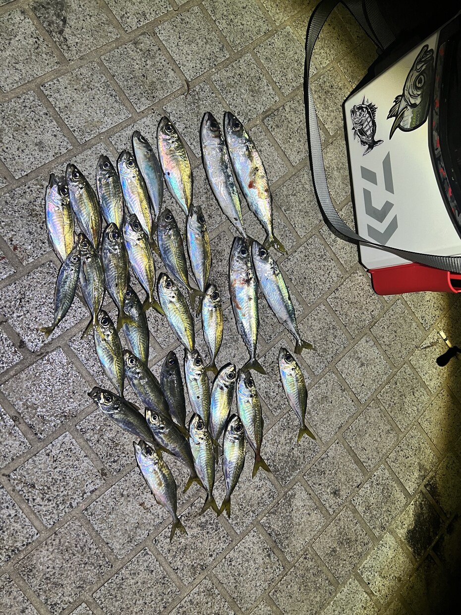 中級者向け、ルアーフィッシングへの第一歩支援します 釣り歴20年の私がルアー釣りのノウハウ伝授します！ イメージ6