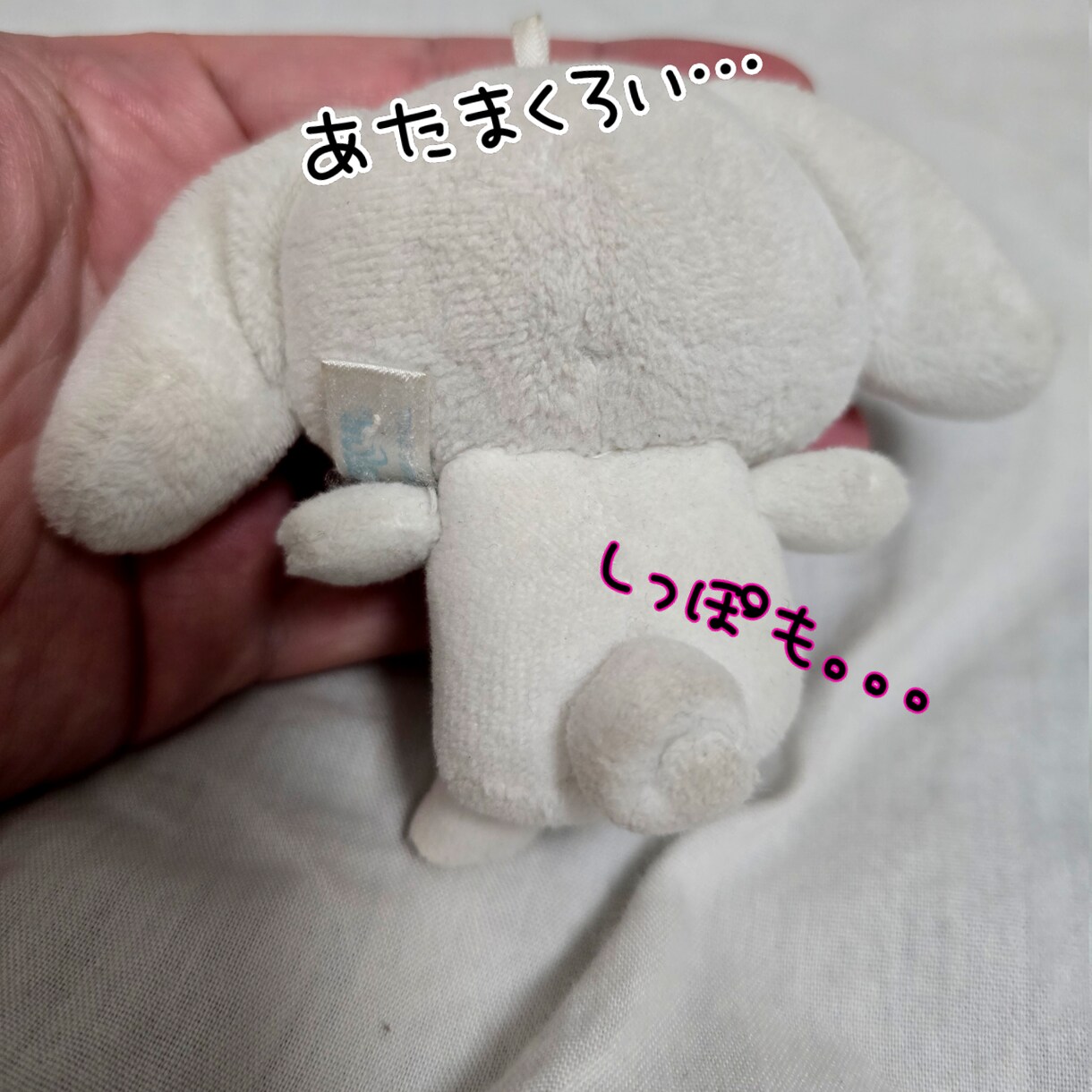 ぬいぐるみ手洗いします 手あか汚れなどをすっきりピカピカに！ イメージ2