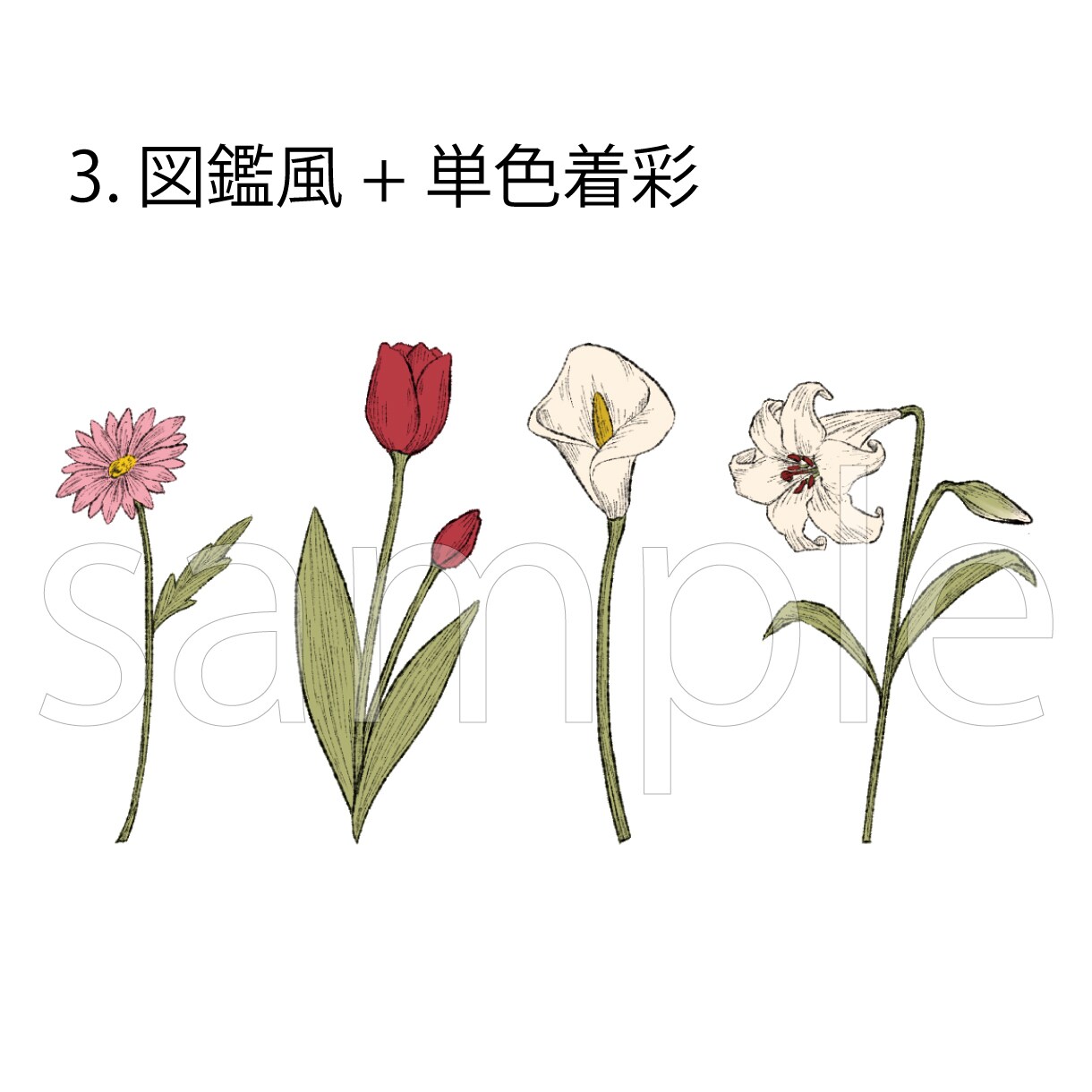 色々なテイストの植物イラスト描きます 一筆書き、図鑑みたいな線画、リアルなどお選びいただけます イメージ4