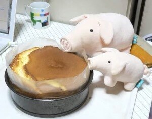 夢分析・カウンセリング・メンタリングします ユング派の心理カウンセラーが行う心理カウンセリングセッション イメージ1