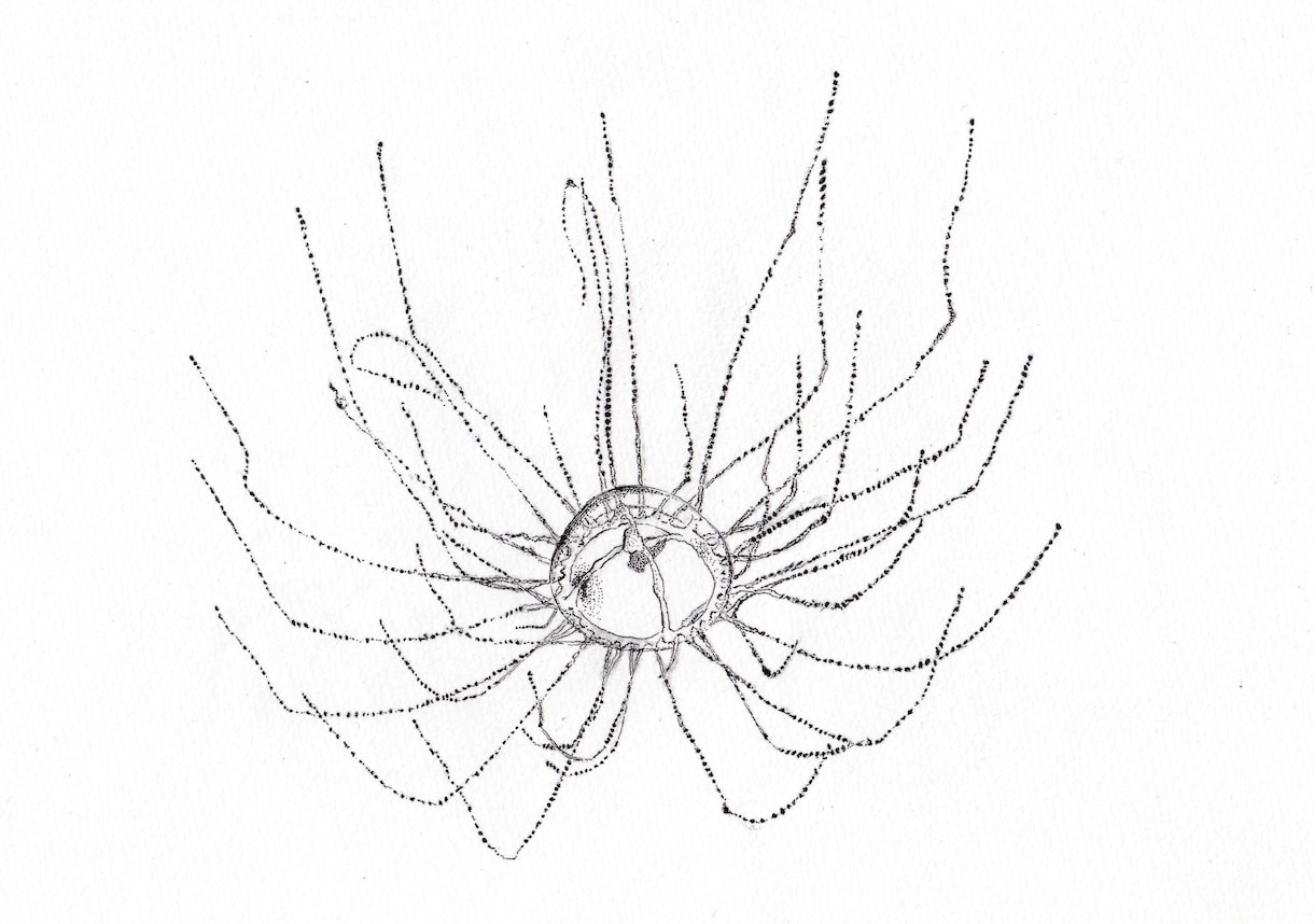 写真をもとに点描画を描きます イメージ1