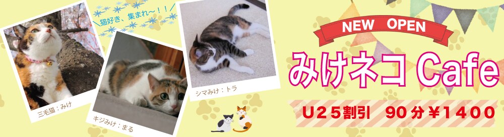 バナー作成いたします 広告用のバナーを低価格でご提供致します。 イメージ7