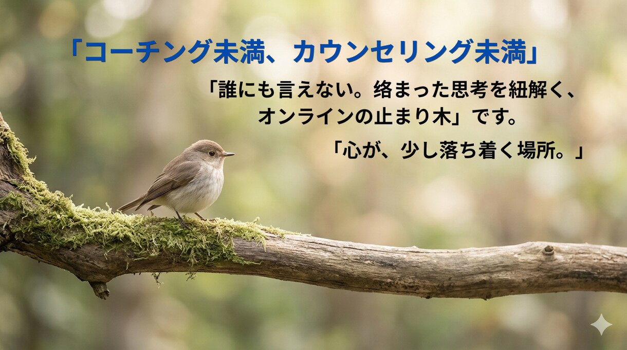 ゆっくりと、絡まった思考と心を解き解します コーチング、カウンセリング未満、でも「話すと頭と心が整う」 イメージ1