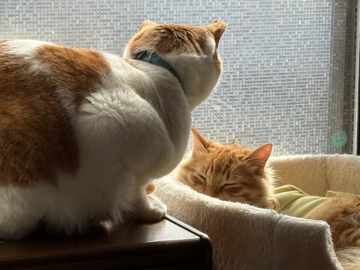 あなたの秘密❤️おねーさんが受け止めます タブーなし‼️即返信‼️どんな恋愛もぶっちゃけて下さい‼️ イメージ3