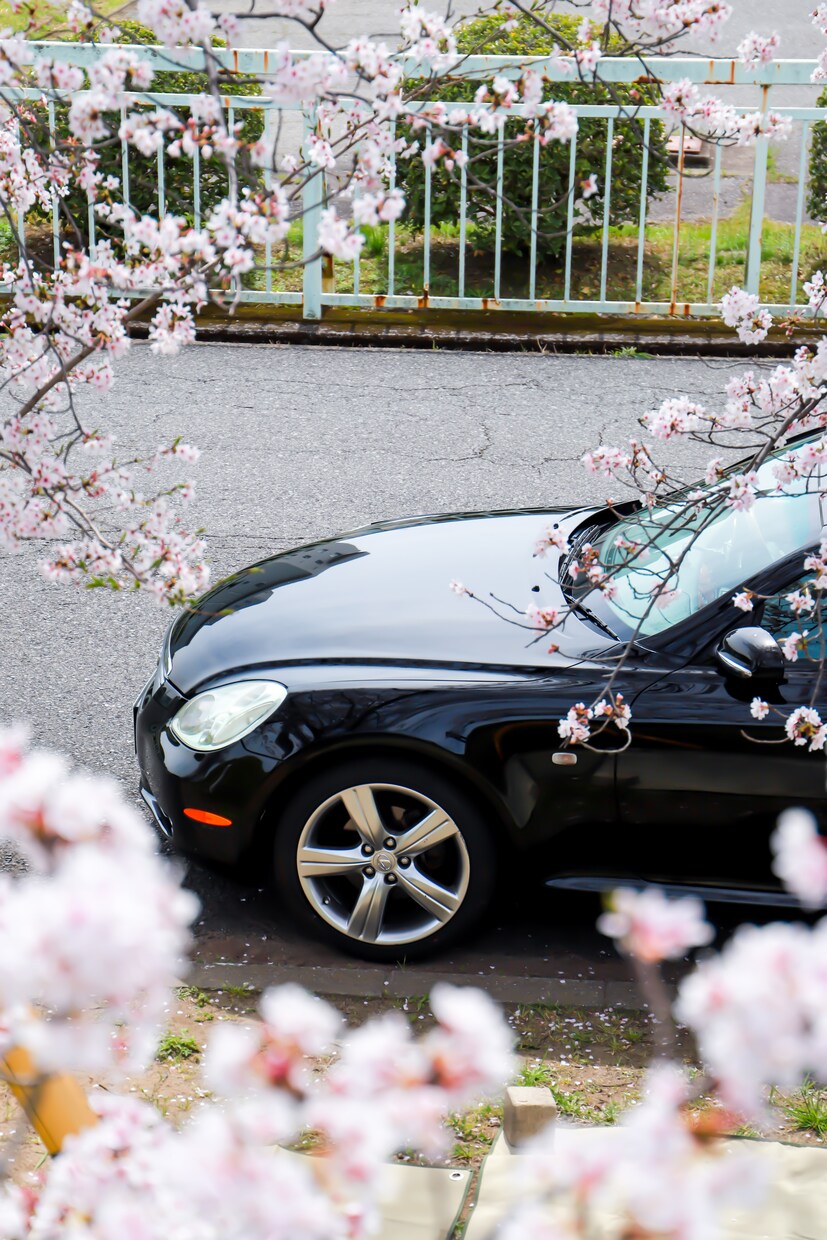 車購入、乗り換えタイミングなどアドバイスします お得に乗り換え、最適なカーライフを イメージ1