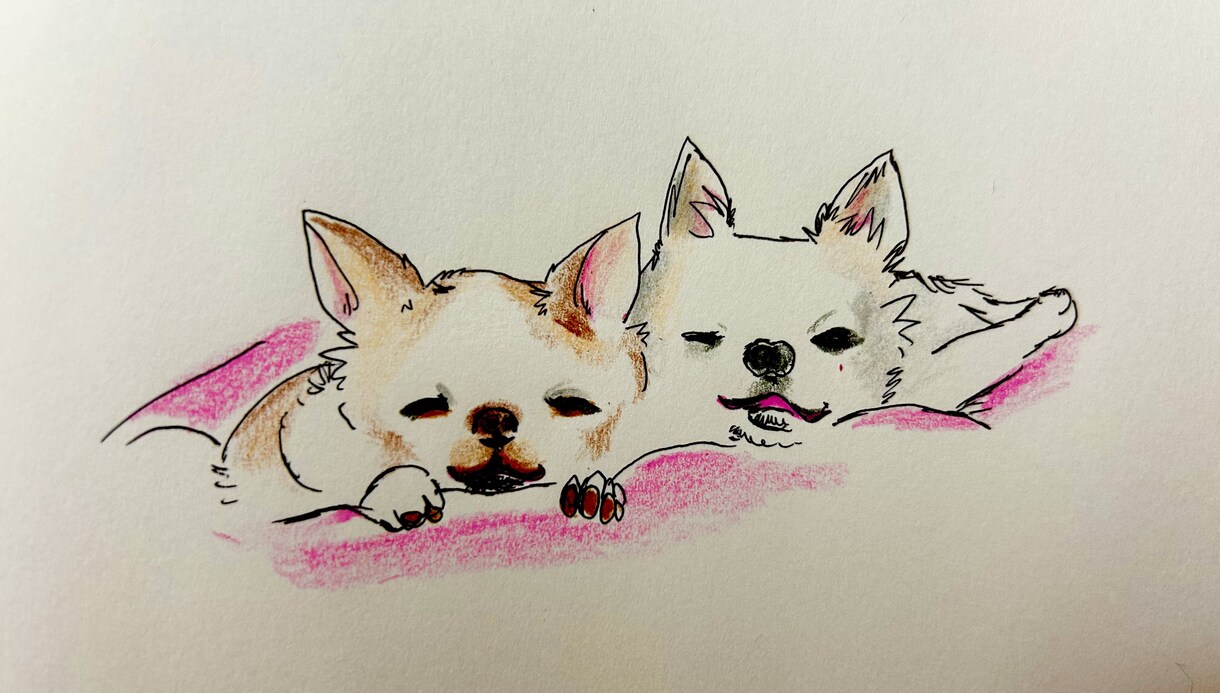 あなたの大好きなペットなどをイラストにします アイコンやSNS用の画像、待ち受けにしませんか✴︎ イメージ1