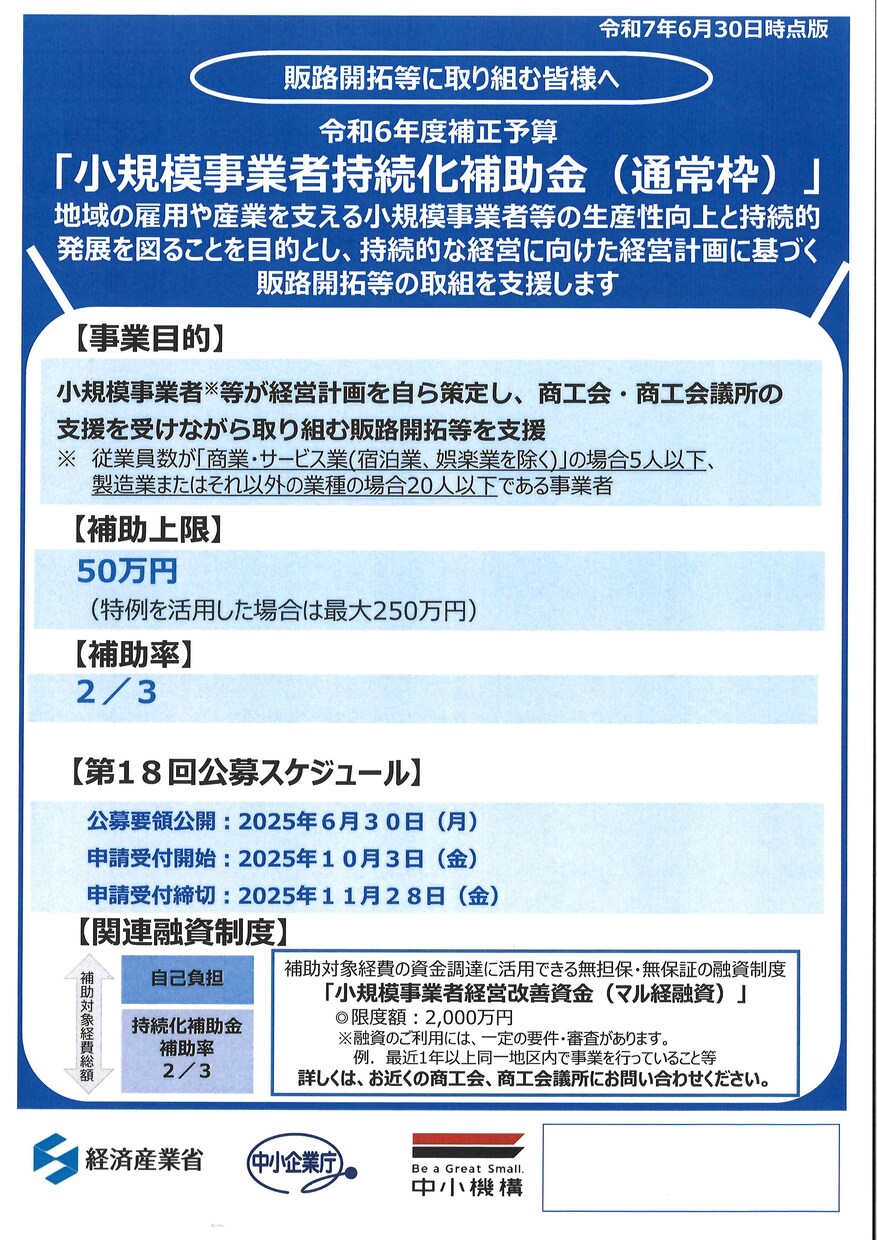 小規模事業者持続化補助金の採択計画書を提供します 賃上枠200万円受給した生の事業計画書を公開 イメージ1