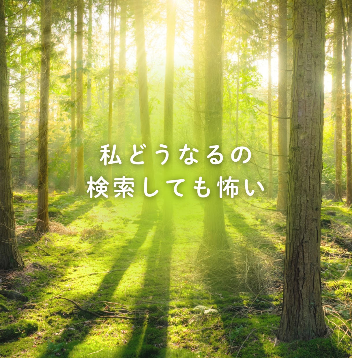 経験した私だからあなたのわからないに答えます 乳がん経験者ピンクリボンアドバイザー治療に寄り添います イメージ6