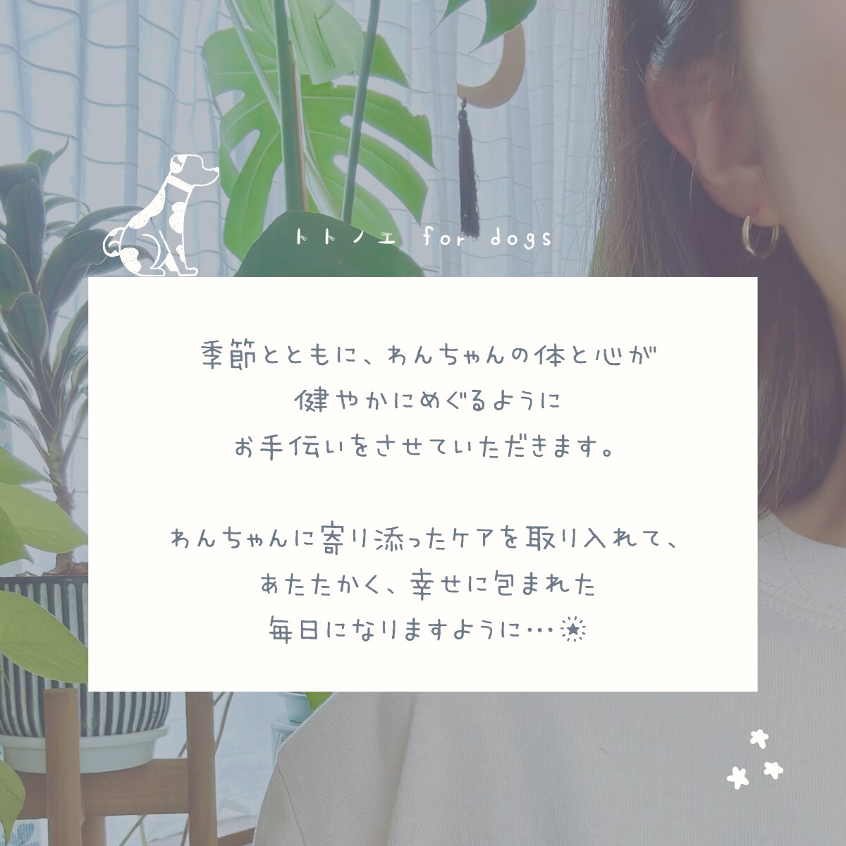 春のエネルギーと愛犬の生まれ持つ五行をひも解きます 愛犬に寄り添ったケアを取り入れて、暖かく幸せに包まれた春に イメージ7