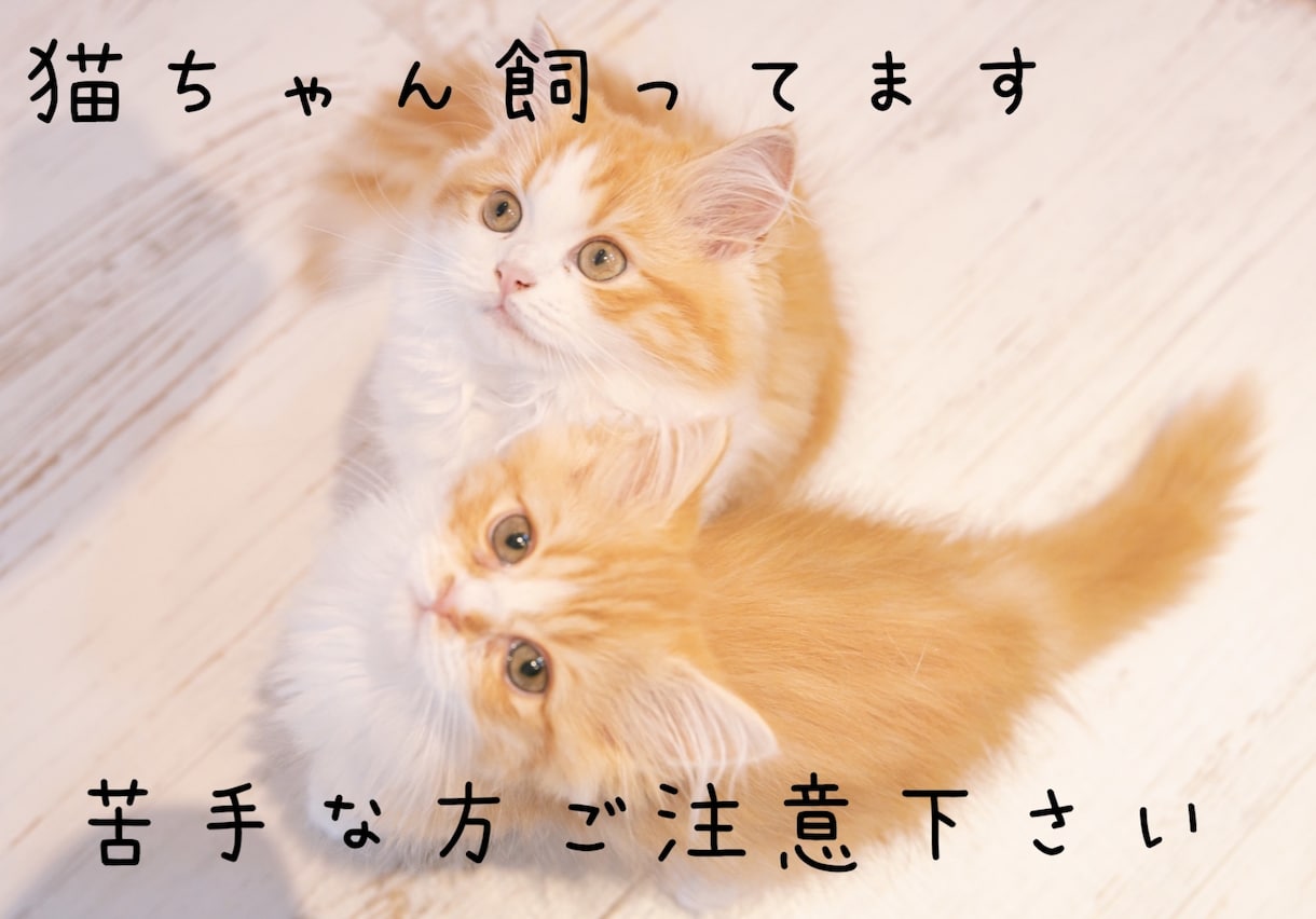 1分からでも大丈夫！関西弁女子が何でもお話聞きます 違うなっと思ったら即切りOKです！お気軽にどうぞ♪ イメージ10