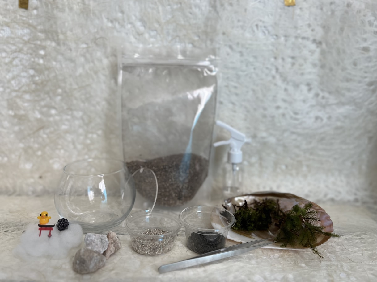 苔テラリウムワークショップレッスン致します 作る楽しみ＆愛でる楽しみもある癒しの苔テラリウム♡資材等込み イメージ3