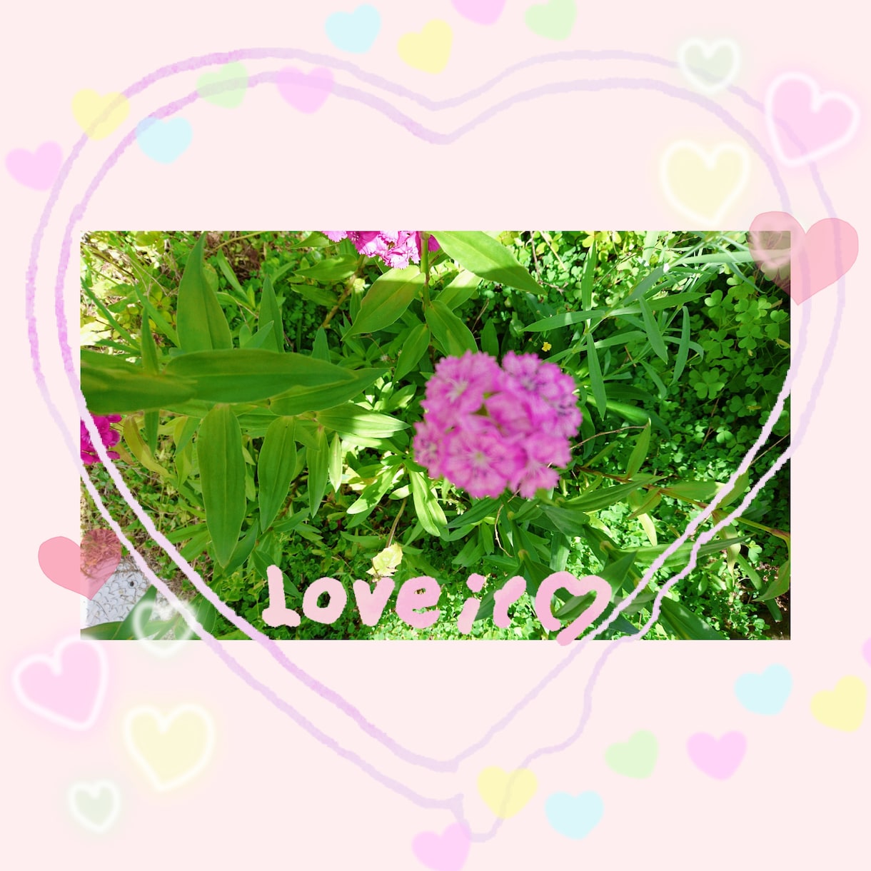 プラスに転換するサポートさせて頂きます どんなことも幸せに繋がります✨ イメージ1