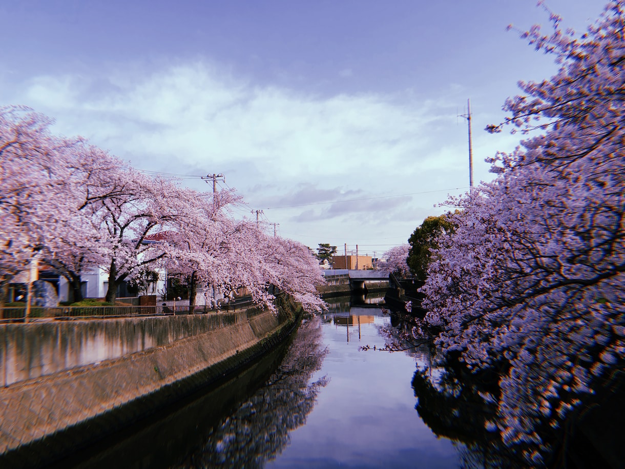 女の人の心って分かりませんよね！？教えます これまでの経験を踏まえてお話しします！！ イメージ1