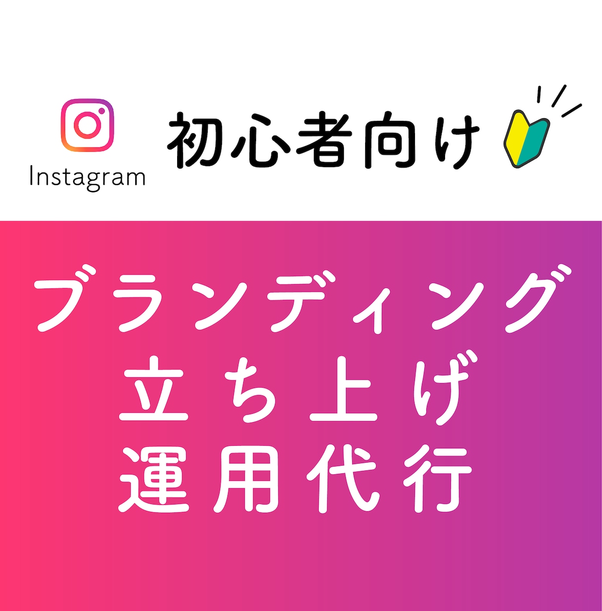 インスタグラム初心者向け！ブランディングします 立ち上げからマーケティングまでインスタ運用代行お任せください イメージ1