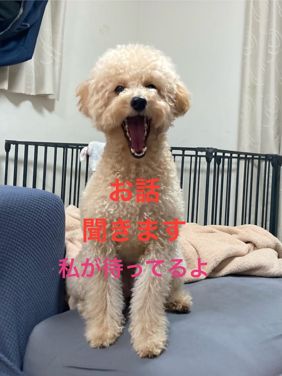 看護師があなたのお話にそっと耳を傾けます ～その気持ち、ここに置いていきませんか？～ イメージ2