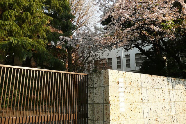 慶應幼稚舎の合格体験記を提供します 受験生のリアルな体験、本番前に知って損はありません！ イメージ1