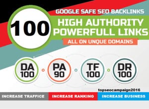 被リンク対策！高権威ドメイン100本を手動構築ます 実績豊富なSEOエンジニアが、高品質な被リンクを手動で設置 イメージ3