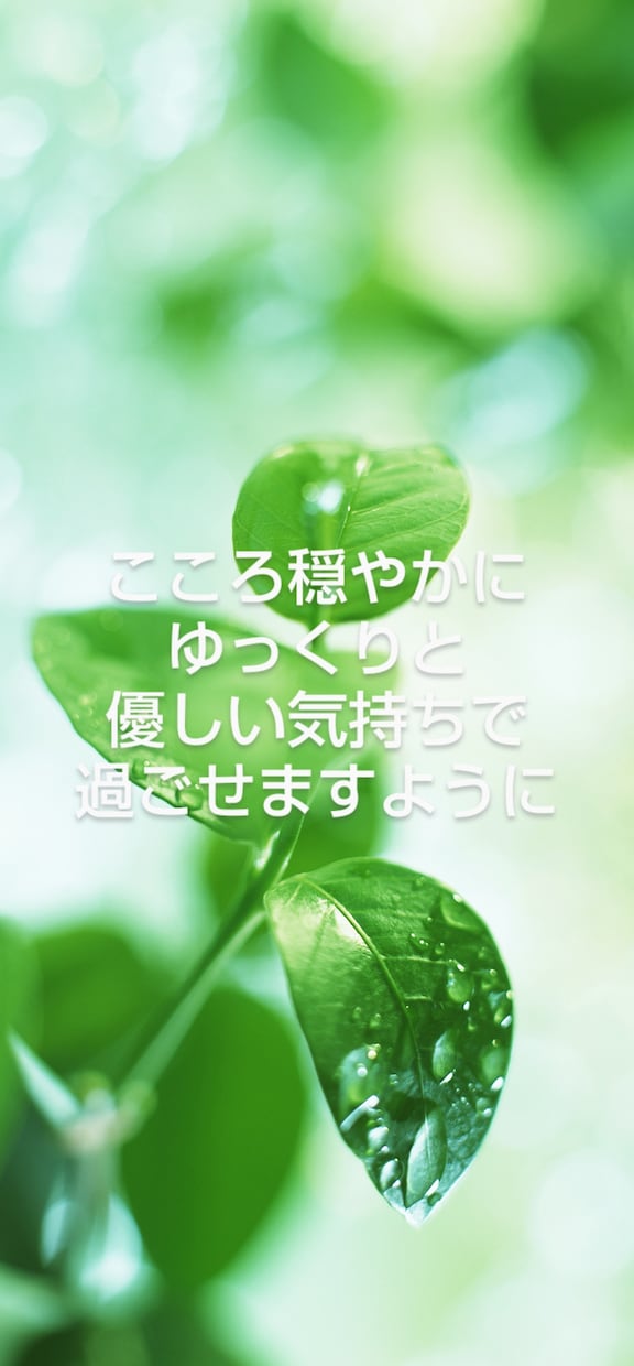 貴方のお悩みに明るい光が差し込むよう丁寧に占います 誰かに話し、心を軽くしてみませんか？お気軽に御相談ください。 イメージ2