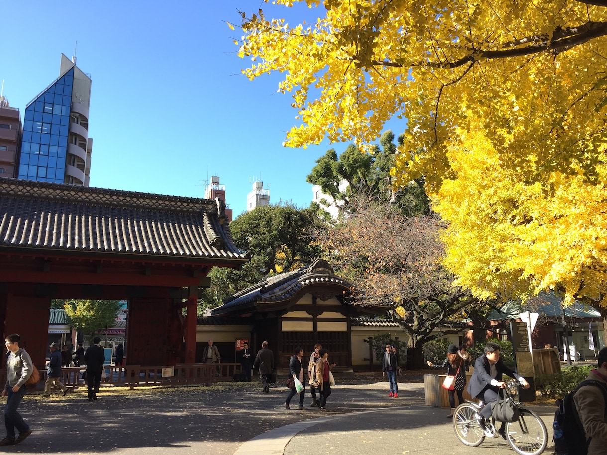 元東大生がキャンパス案内しながらドラゴン桜します 受験の不安と戦う地方学生さん、自信とやる気をチャージします！ イメージ6