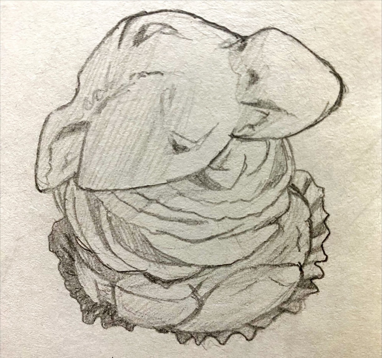鉛筆･色鉛筆でスイーツイラストを描きます 鉛筆･色鉛筆・ボールペンイラスト画。原画郵送可能です。 イメージ5
