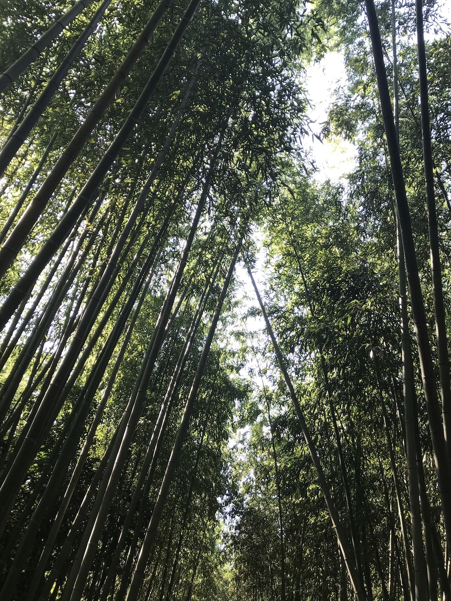 どんな話でも聴きます 話してスッキリ！ 人間関係 仕事 恋愛 家族 投資 何でも イメージ1