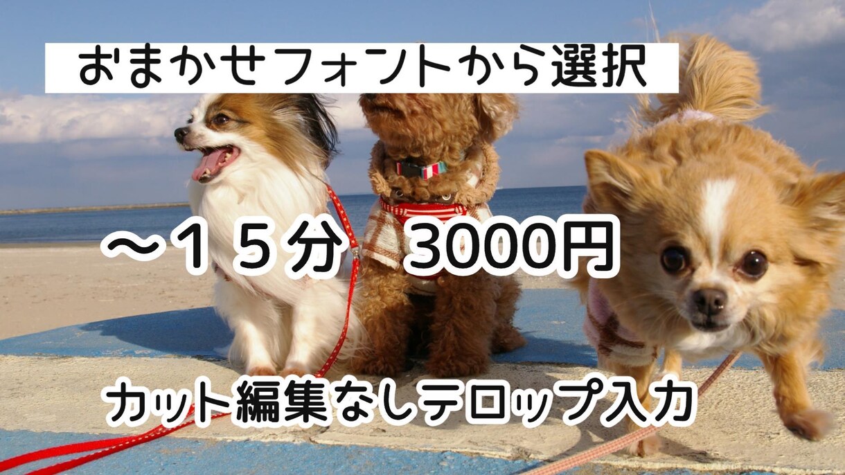 YouTube用などの動画に簡易テロップ入れます ★カット編集なし☆シンプルプラン☆ イメージ1