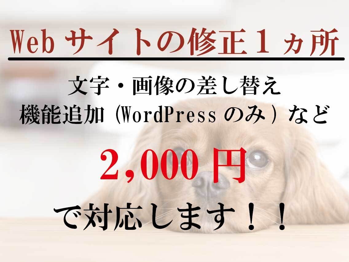 機能追加・テキスト・画像の修正を行います 低価格で修正頑張っちゃいます！！ イメージ1