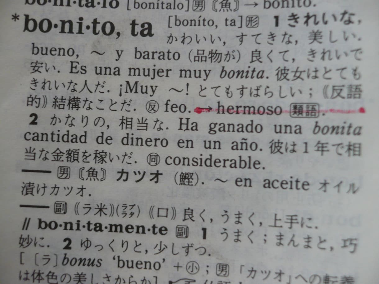 大切なお店や商品にスペイン語でネーミングます 語感の響きのいいスペイン語にて、元気なネーミング考えます イメージ1