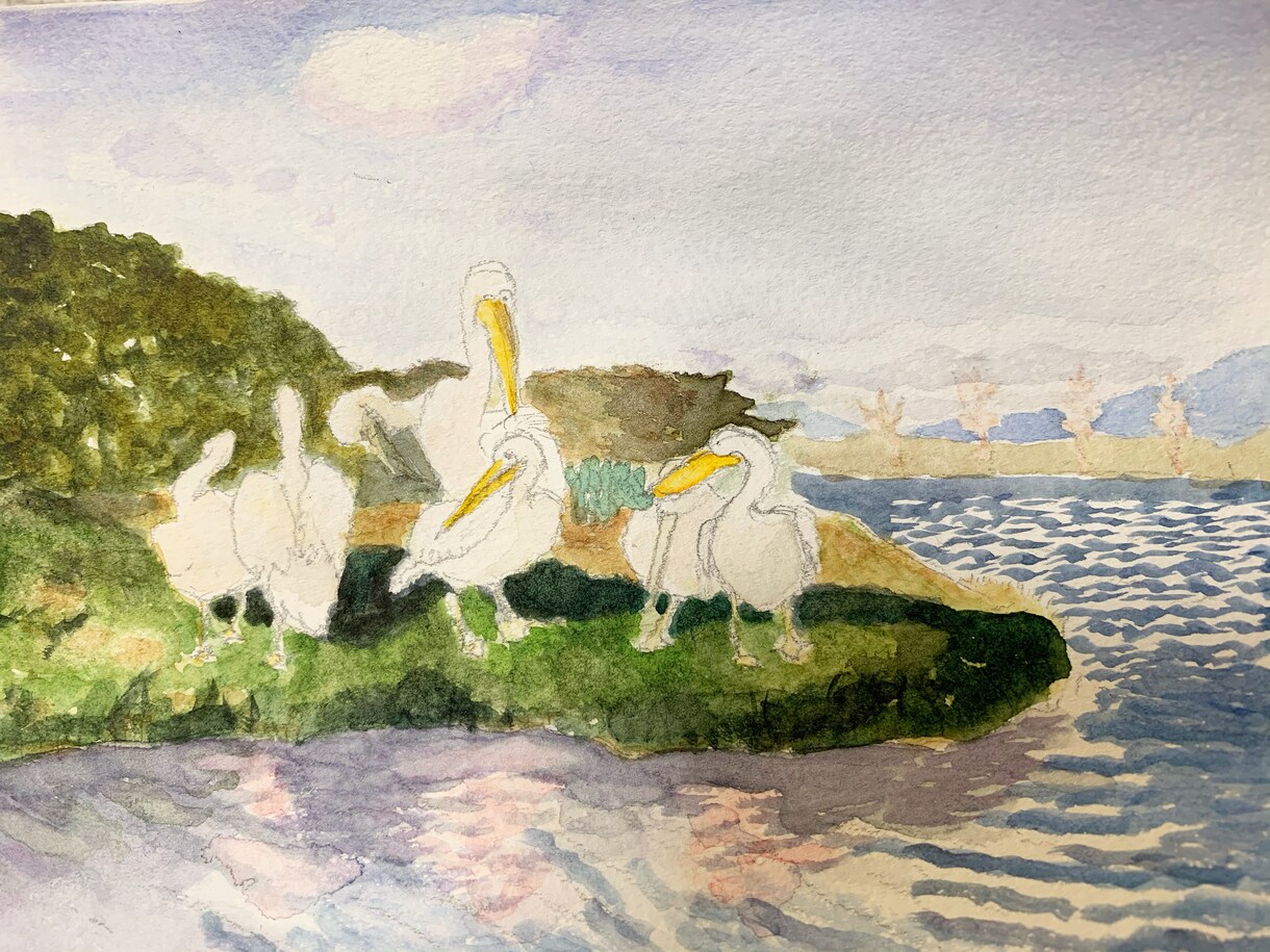 手書きイラスト承ります 動物・植物など、まずはなんでもご相談どうぞ。着彩は水彩です。 イメージ6