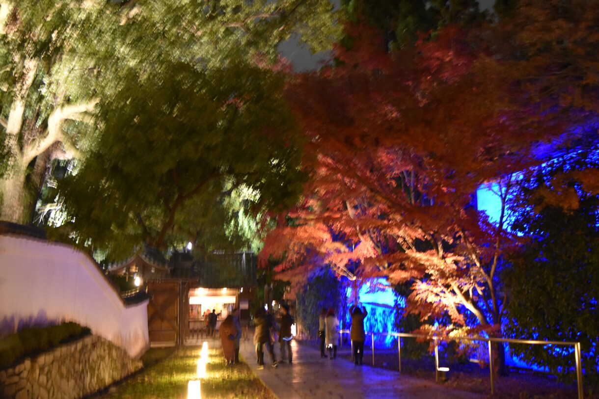 秋の京都観光！教えます 紅葉名所が多数の京都、地元民ならではの選りすぐりの名所紹介！ イメージ3