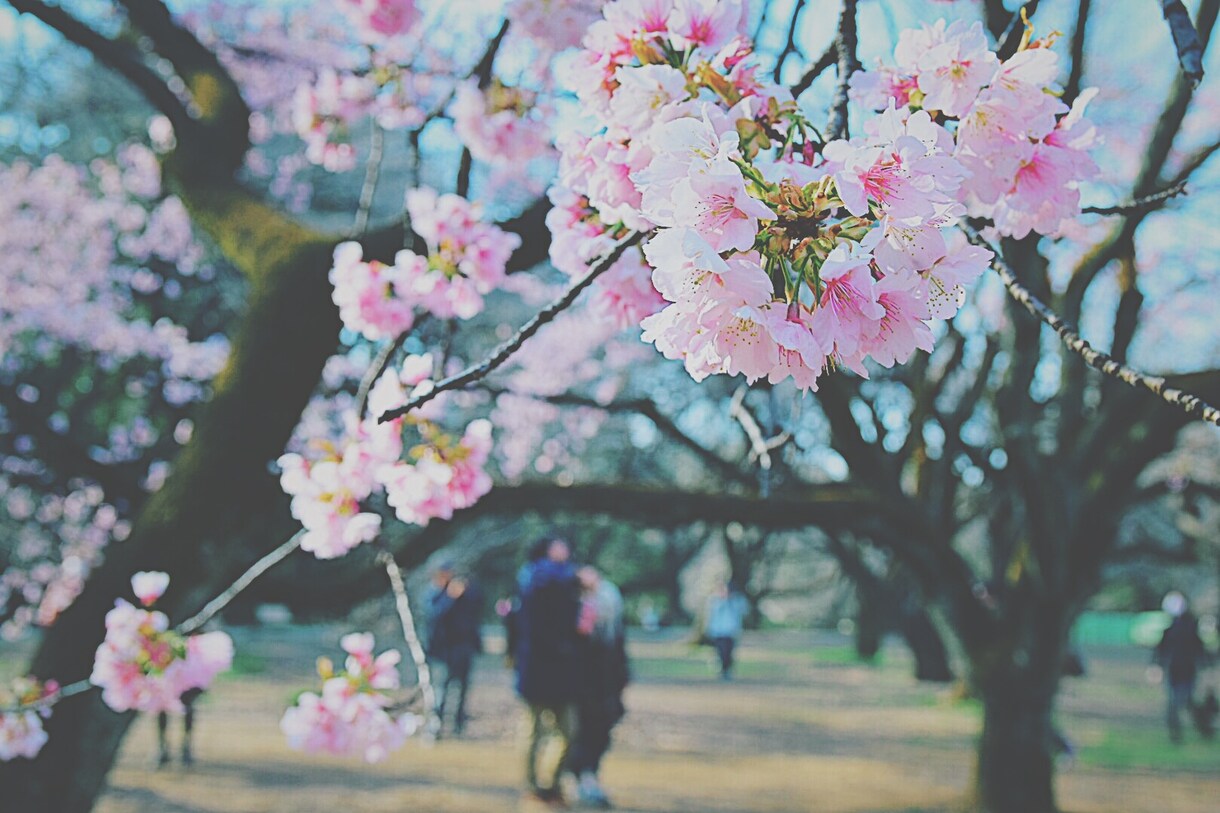 画像をオシャレに加工します ◇◆instagram,SNSに見栄えする加工を◆◇ イメージ1