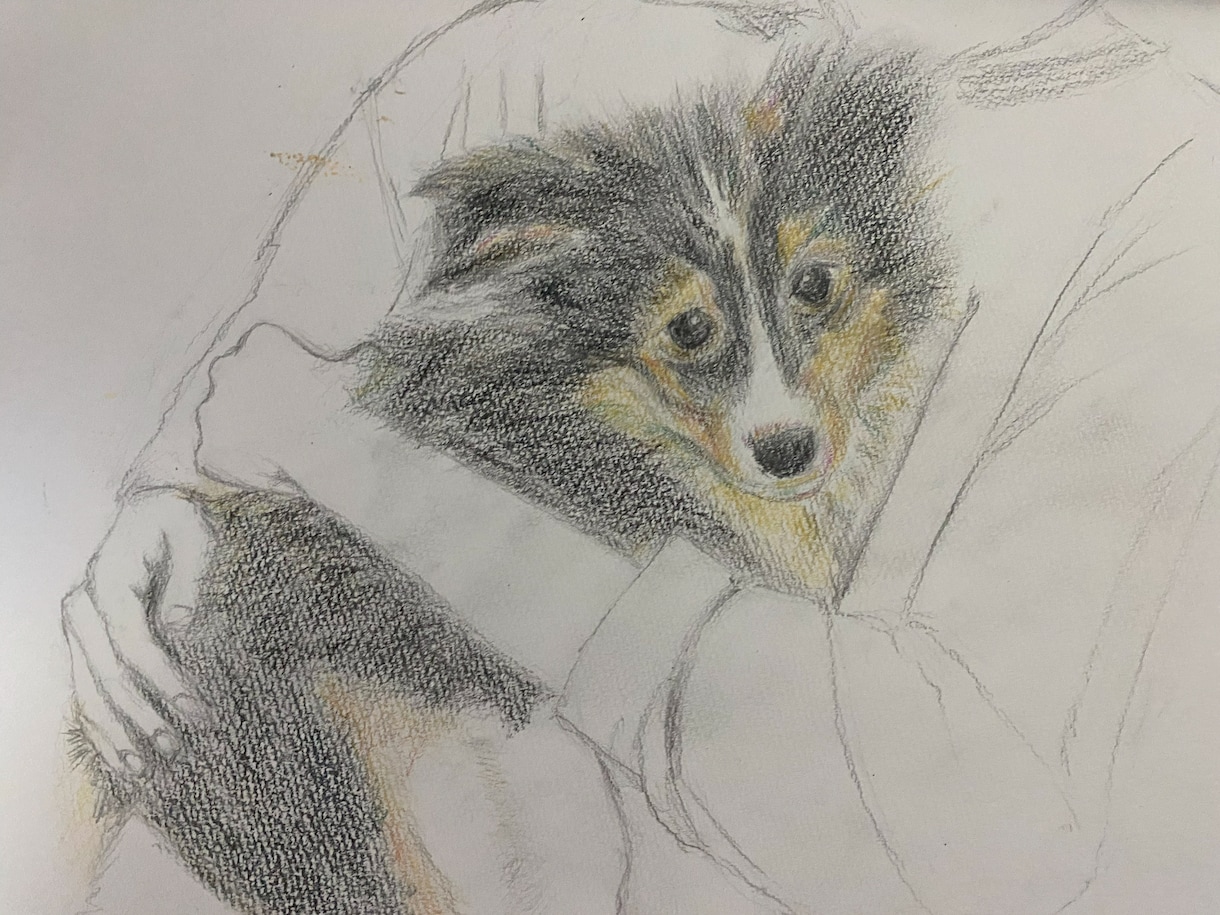 ペット（小動物・爬虫類も）削り画、色鉛筆画描きます 削り画は色付き紙の黒塗りを削ります。 イメージ3