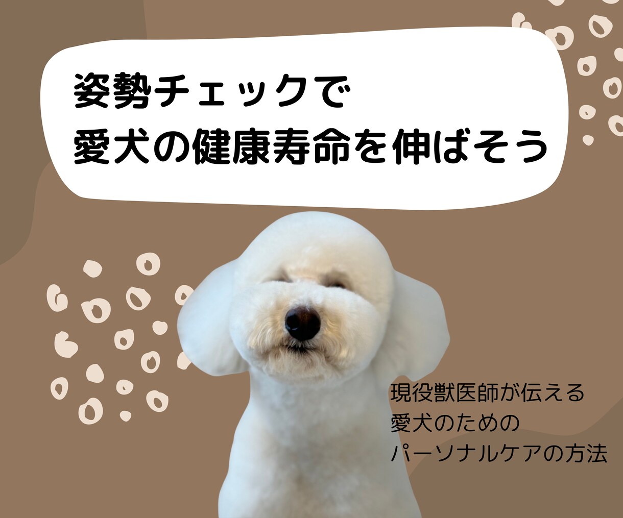 愛犬の姿勢から健康状態をチェックします 年を重ねる愛犬を支えるためにケアと準備のすべて イメージ1