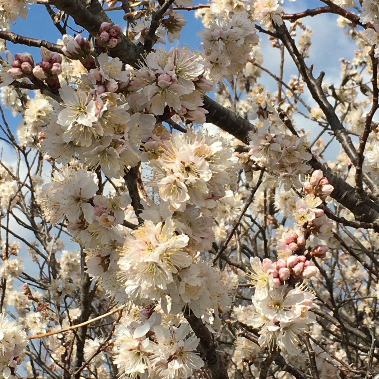 お悩み聞きます ⭐︎否定も評価もアドバイスもせずただ寄り添って⭐︎ イメージ4