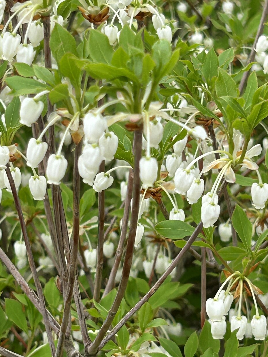 恋愛とは悩む事ではなく楽しむ事です！話し聞きます 女性限定！今日で悩む恋愛は終わりにしましょう！ イメージ9