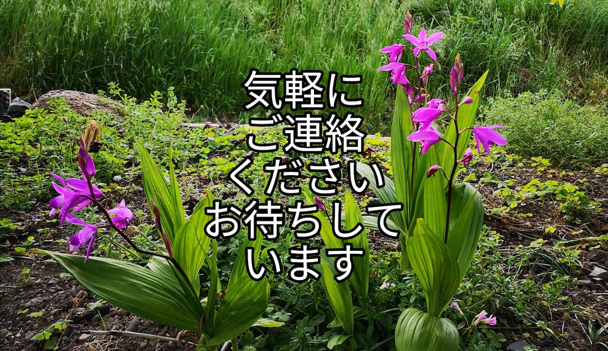今話しを聞いてもらいたい！希望に答えます ☆悩みをはきだし次に進みたいあなたへ。 イメージ1