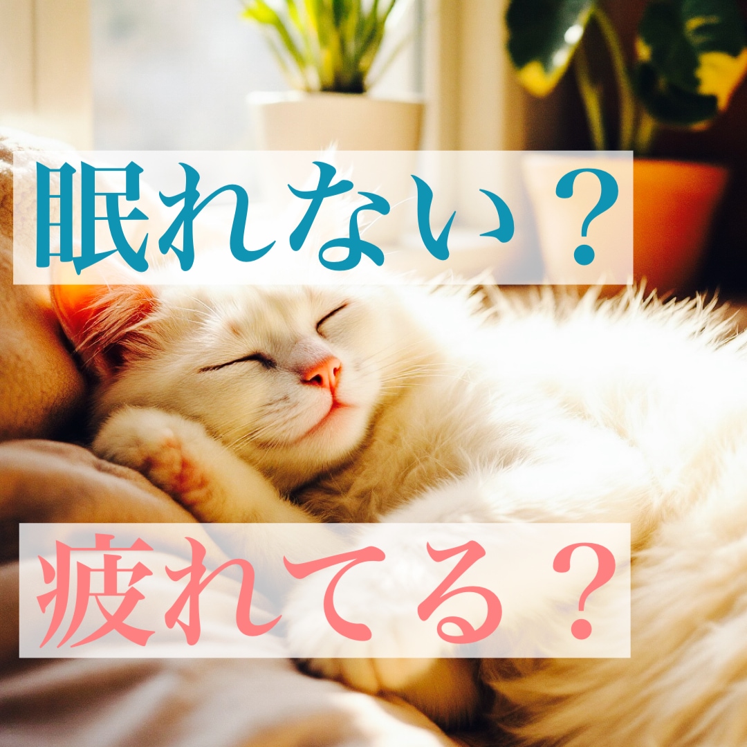 あなたに寄り添ってどんなお話しもお聞きします 眠れない　疲れてる　人恋しい　まったりとあなたの心を癒します イメージ3