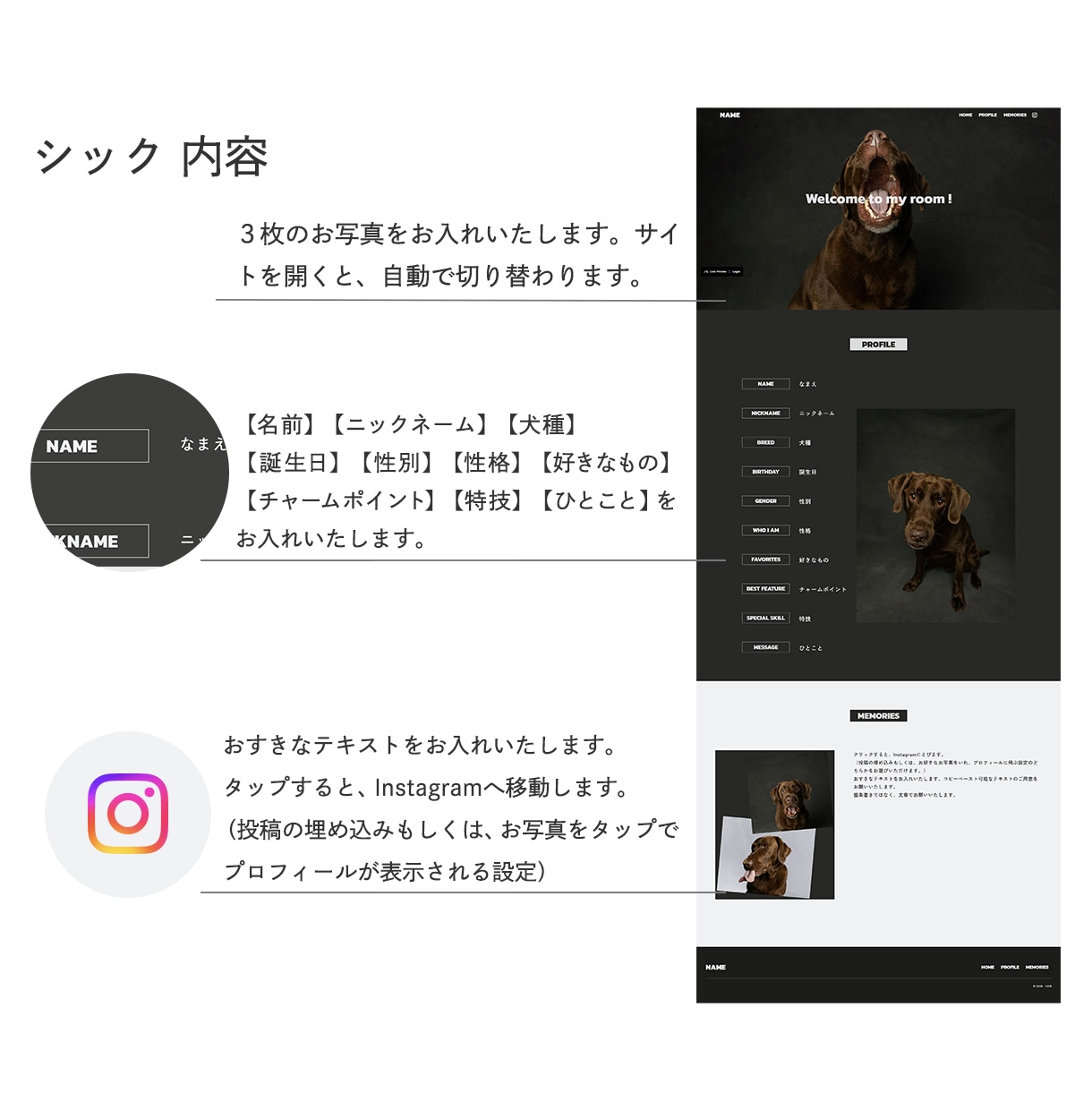 犬用のデジタル名刺付！うちの子HPを制作します 【シック】わんこのHP　維持費0円のStudioで制作 イメージ5