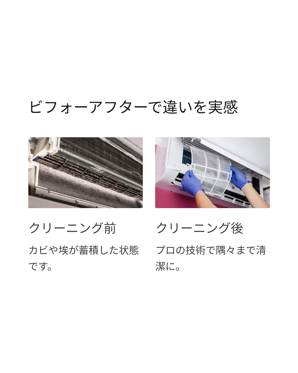 Canva使用　LPの制作をトータル作成致します 初めてのLP制作の方も大歓迎です イメージ8