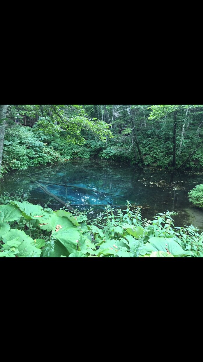 北海道子連れ旅行プランニングします 現役２児（０、３歳）父が教える子連れおすすめスポット紹介 イメージ7