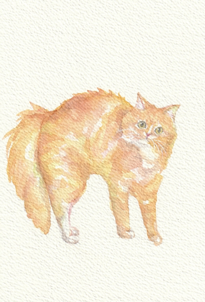 ふんわりとした水彩でペットのイラストを手描きします アイコン、待ち受けやプレゼントにも、かわいい透明水彩の絵を イメージ5