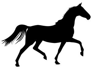 競馬や競艇（ボートレース）のポイントを教えます。 イメージ1