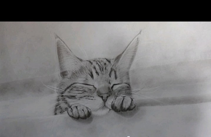 愛犬、愛猫、ペットのリアルな似顔絵オーダー承ります 精密描写で描きます。インテリアアートなどにいかがでしょうか。 イメージ4